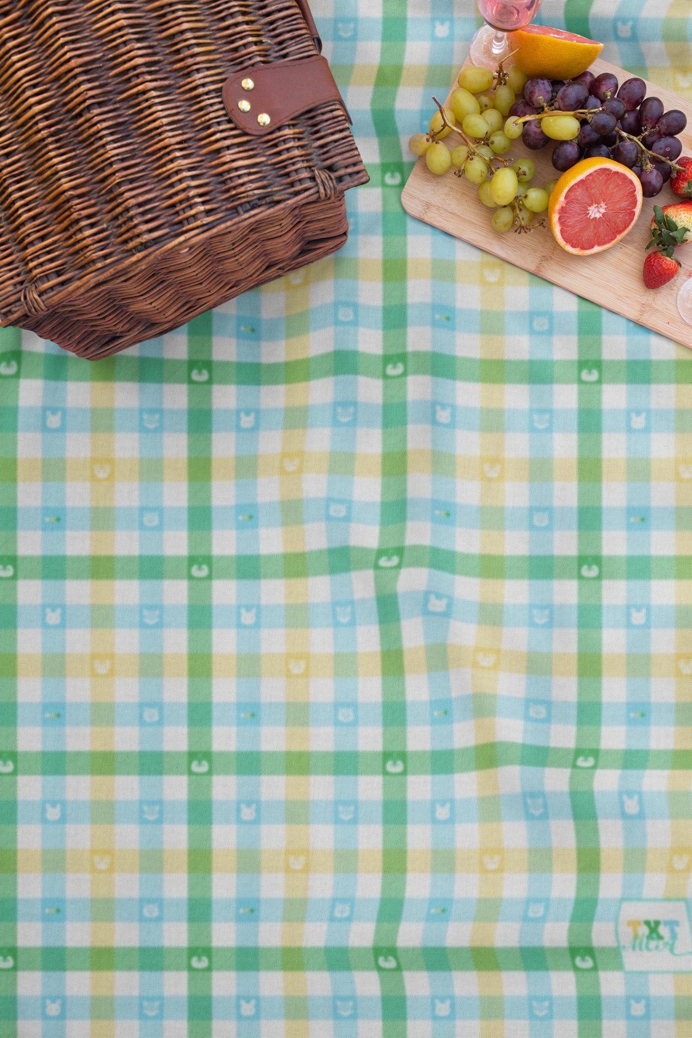 MOA PICNIC BLANKET - thekpopfeminist